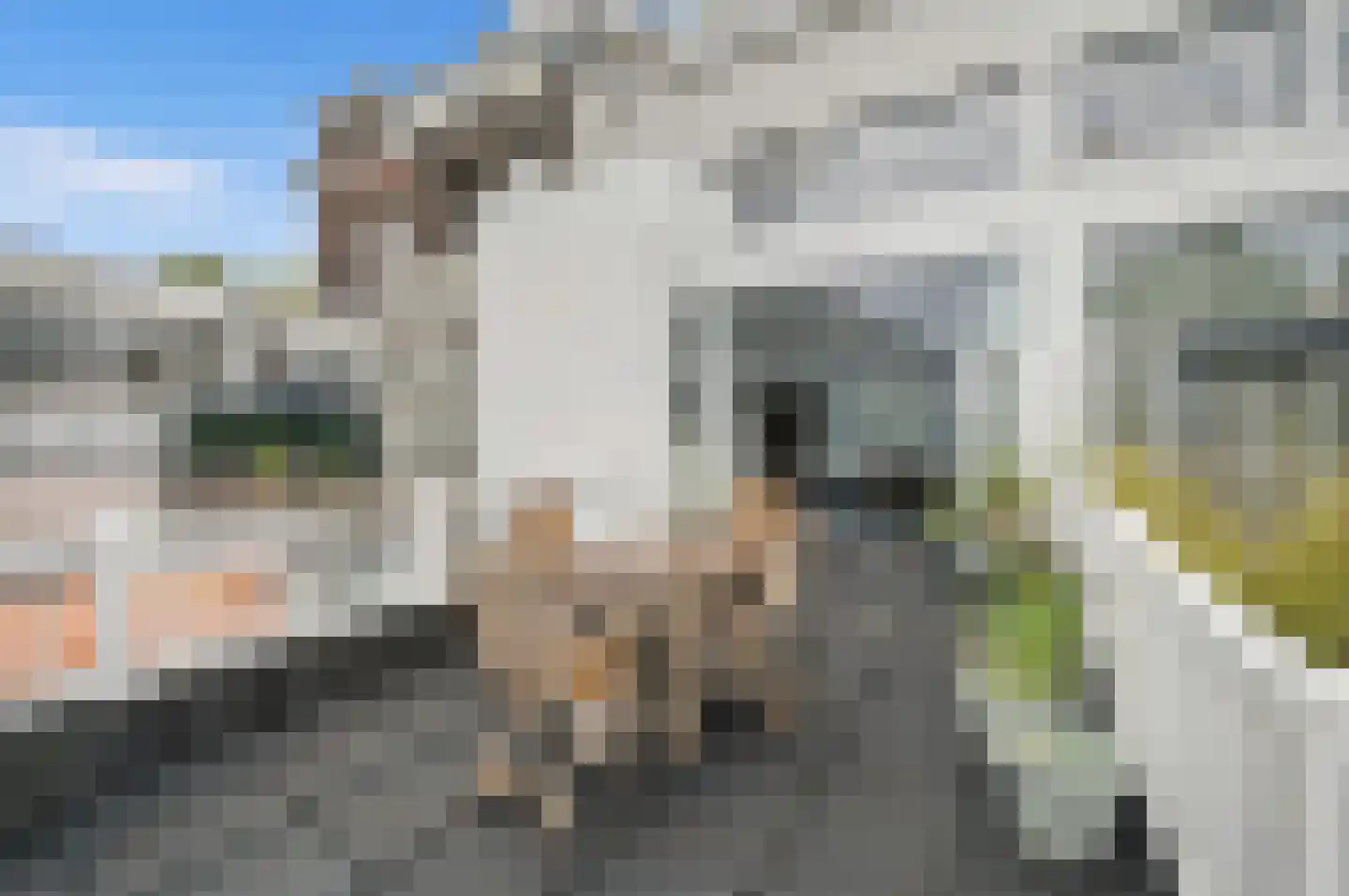 Anna Paulownastraat 59 B Den Haag thumbnail 33