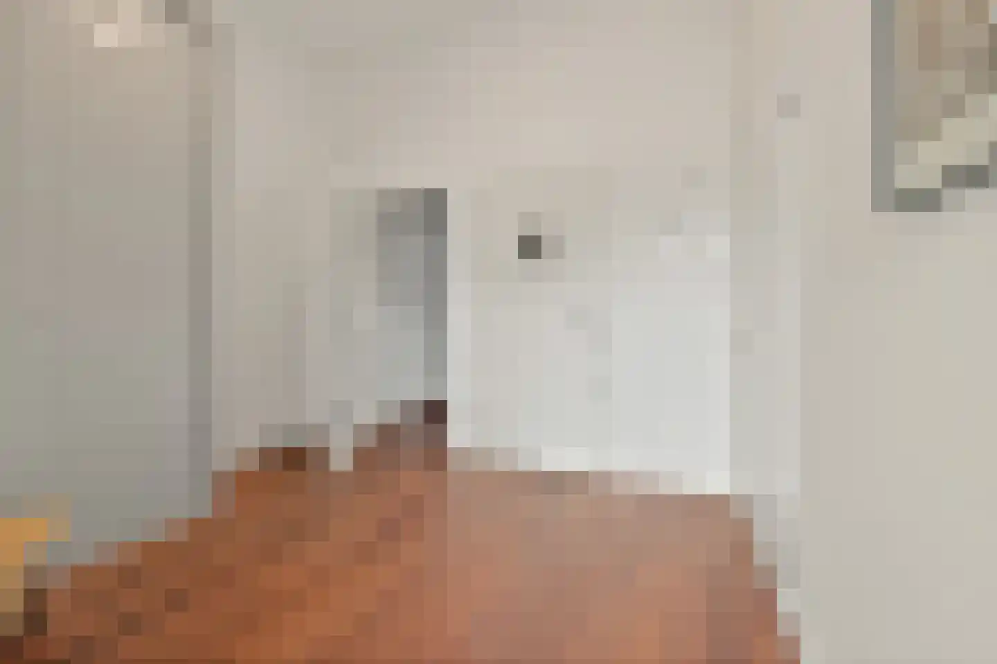 Anna Paulownastraat 59 B Den Haag thumbnail 35
