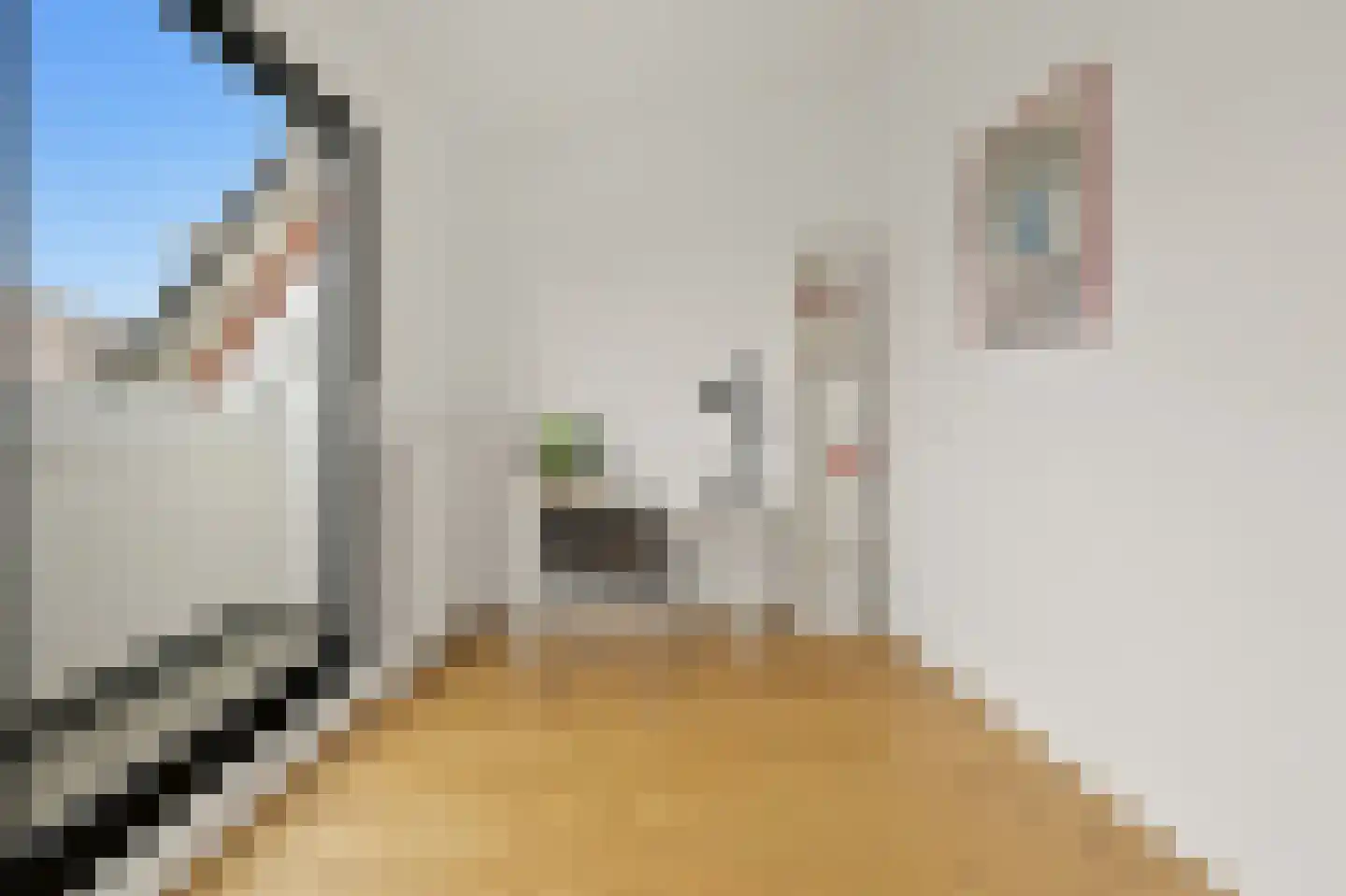 Anna Paulownastraat 59 B Den Haag thumbnail 45