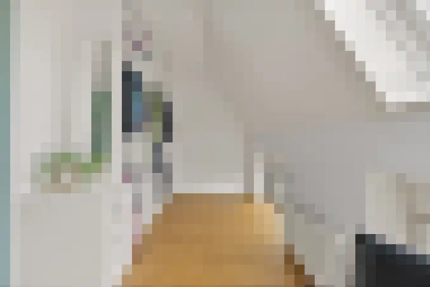 Anna Paulownastraat 59 B Den Haag thumbnail 59