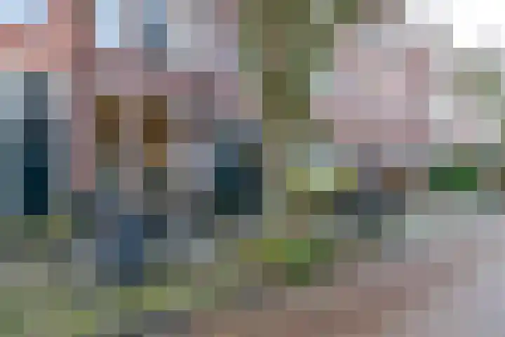 Anna Paulownastraat 59 Groningen thumbnail 12