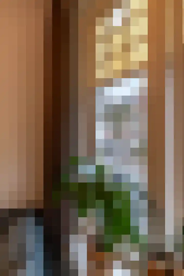Anna Paulownastraat 59 Groningen thumbnail 24