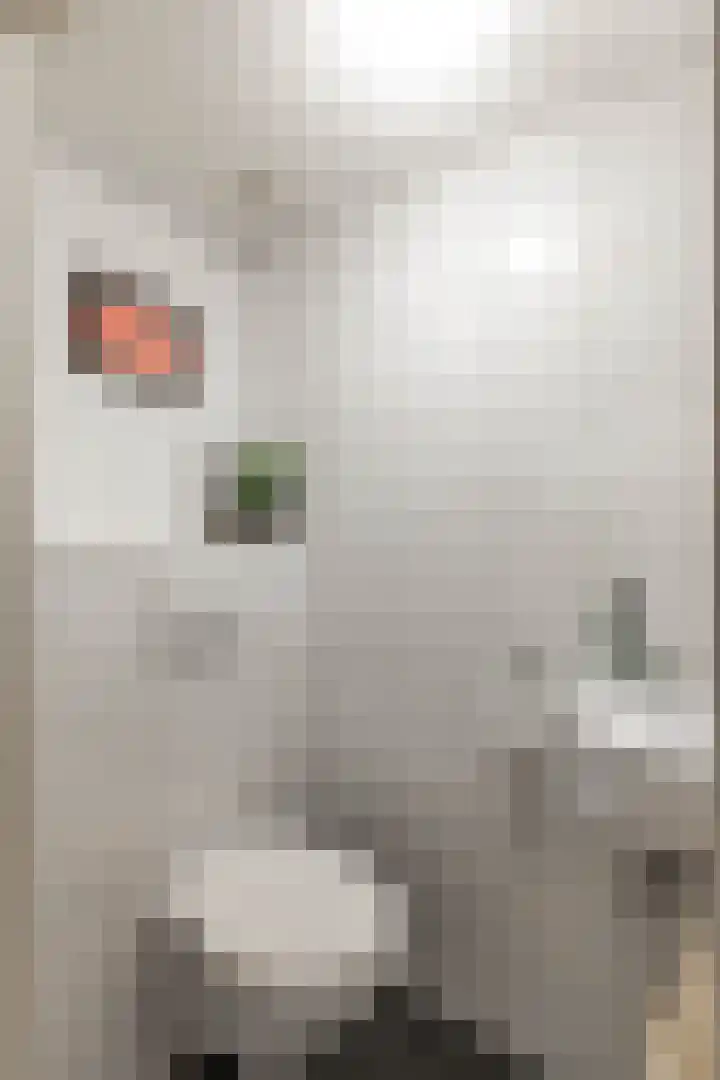 Anna Paulownastraat 59 Groningen thumbnail 31