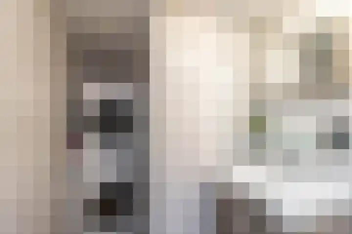 Anna Paulownastraat 59 Groningen thumbnail 33