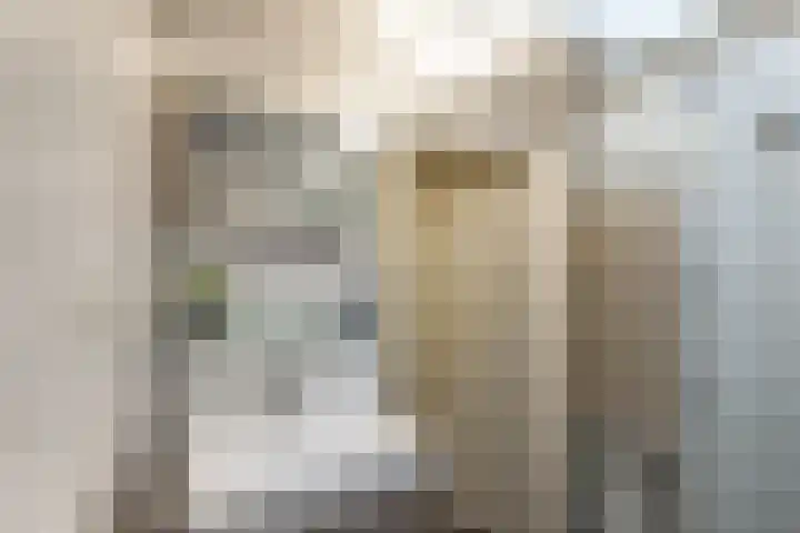 Anna Paulownastraat 59 Groningen thumbnail 34