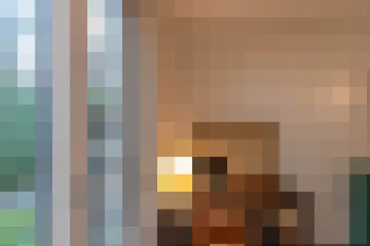 Anna Paulownastraat 59 Groningen thumbnail 37