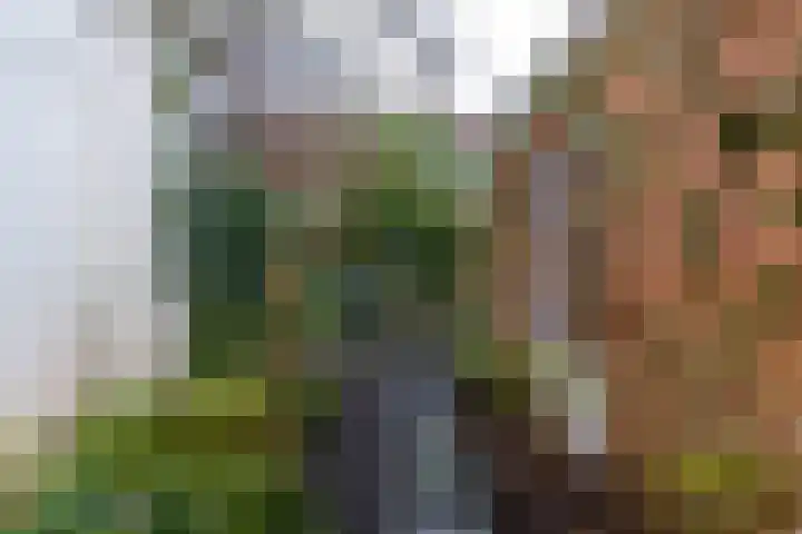 Anna Paulownastraat 59 Groningen thumbnail 41