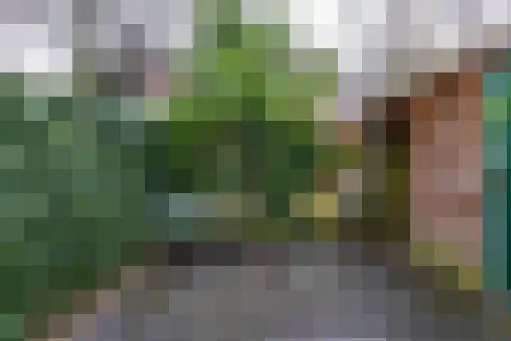 Anna Paulownastraat 59 Groningen thumbnail 42