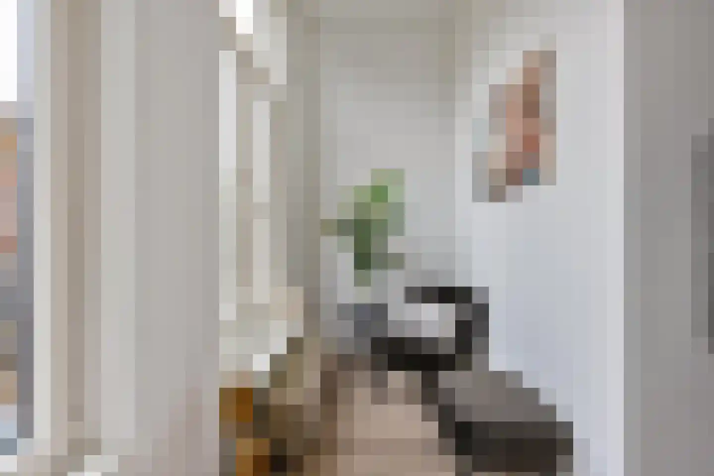 Anna Paulownastraat 66 a Groningen thumbnail 11