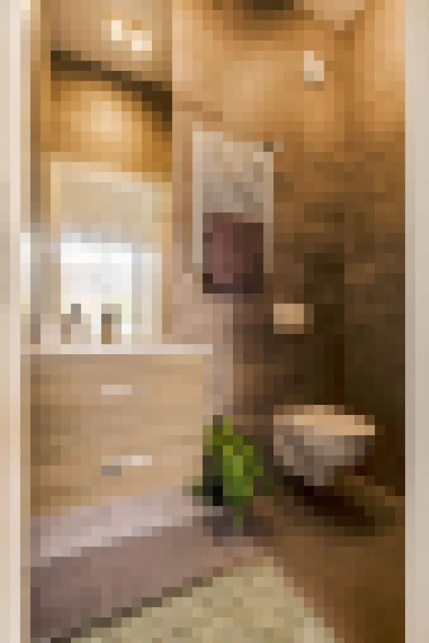 Anna Paulownastraat 66 a Groningen thumbnail 15