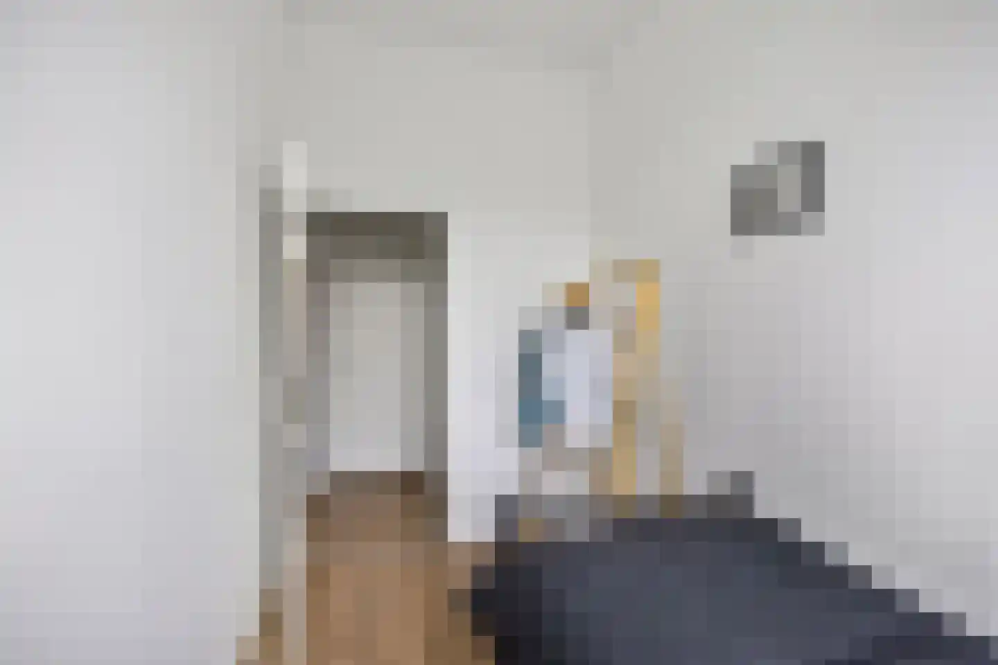 Anna Paulownastraat 66 a Groningen thumbnail 19