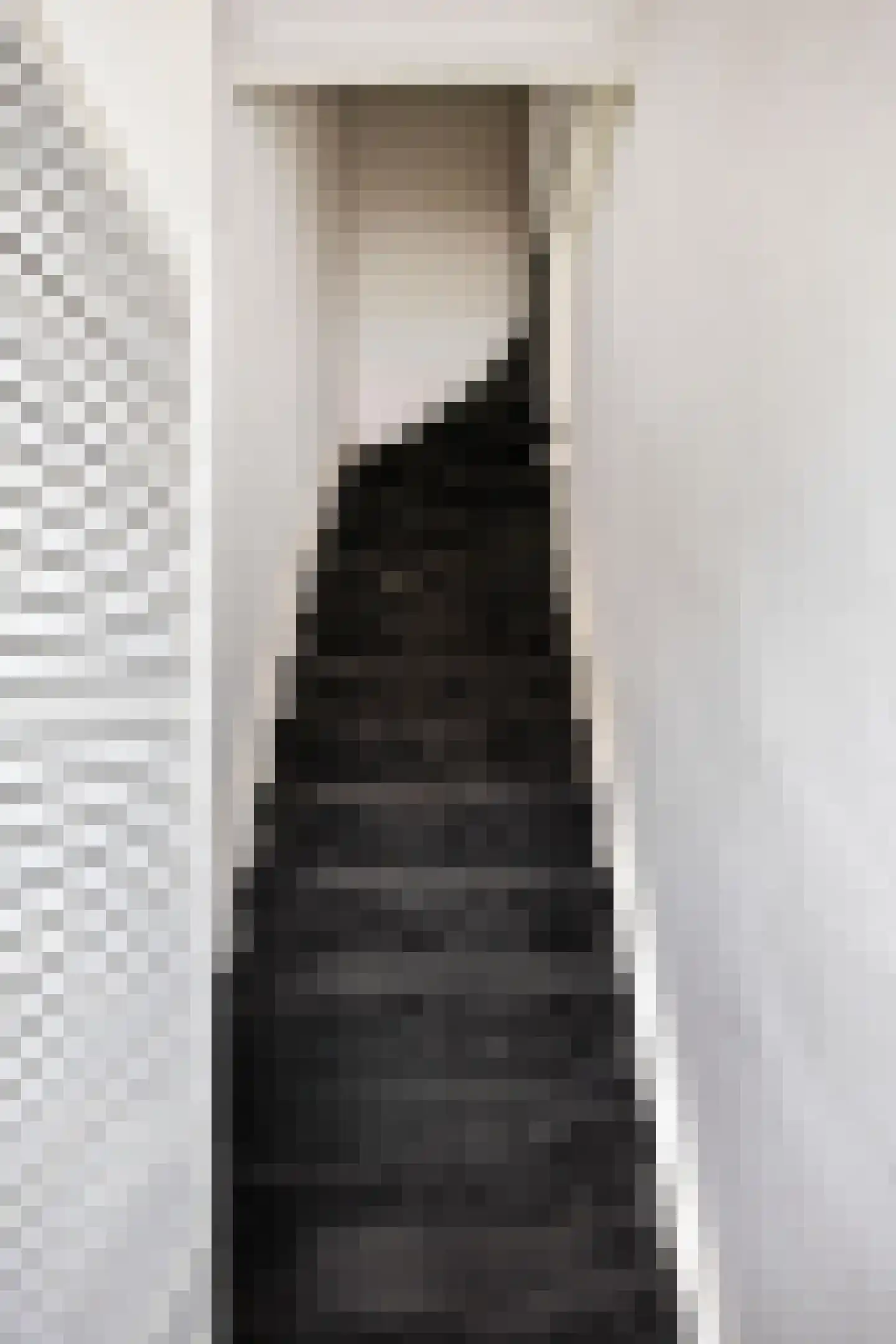 Anna Paulownastraat 66 a Groningen thumbnail 6