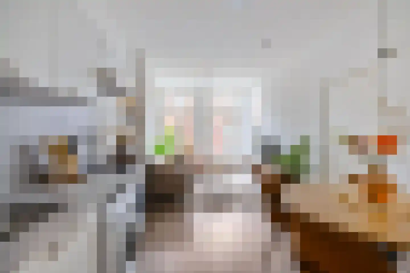 Anna Paulownastraat 66 a Groningen thumbnail 8