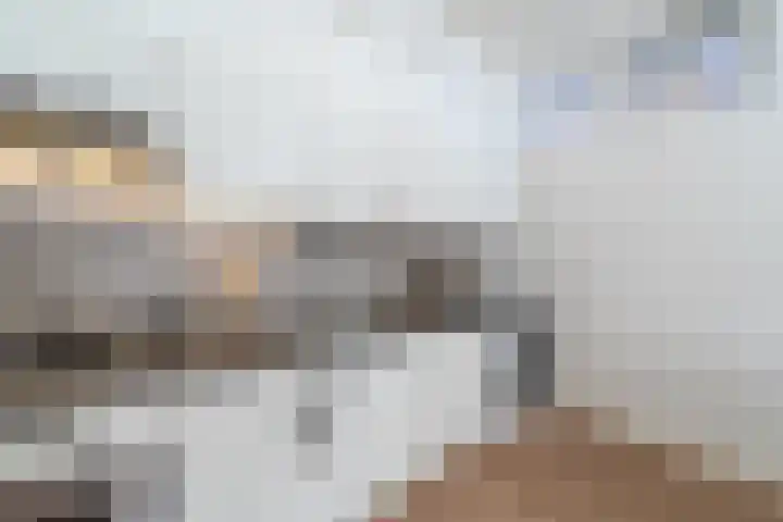 Anna Paulownastraat 66 Groningen thumbnail 16
