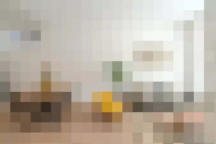 Anna Paulownastraat 66 Groningen thumbnail 18