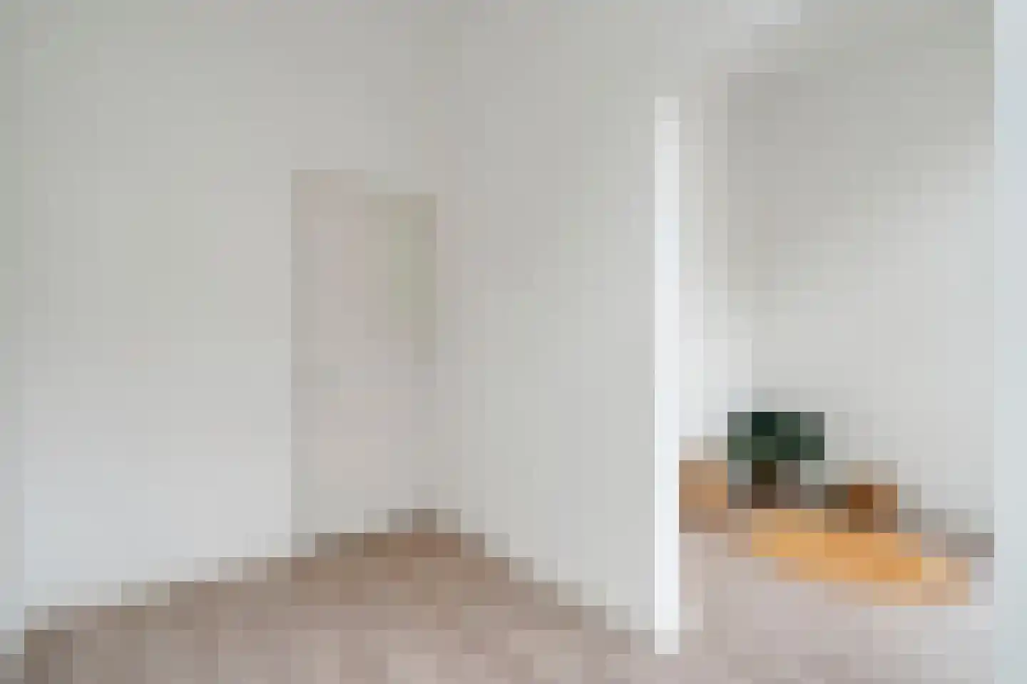 Anna Paulownastraat 68 A Den Haag thumbnail 12