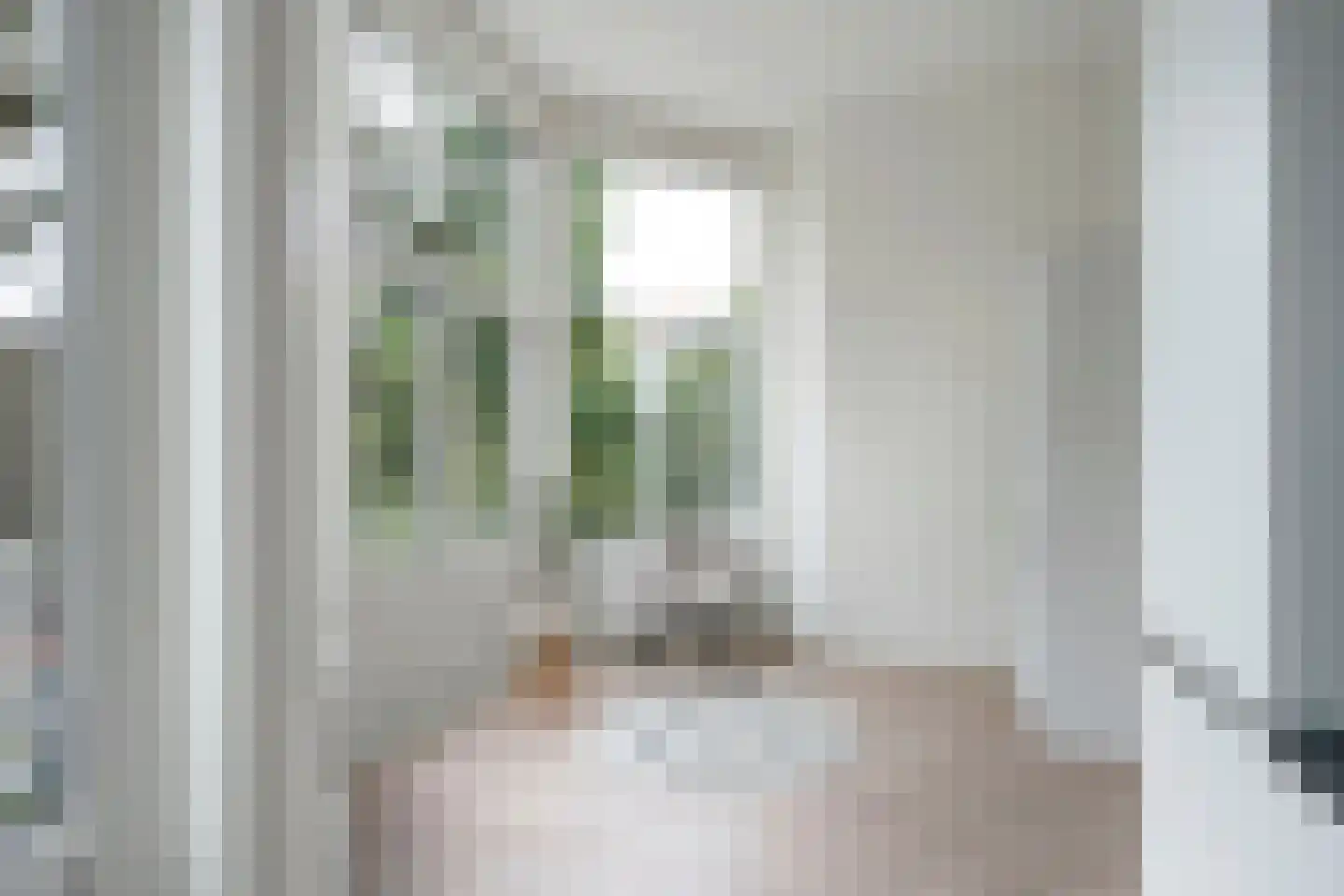 Anna Paulownastraat 68 A Den Haag thumbnail 15