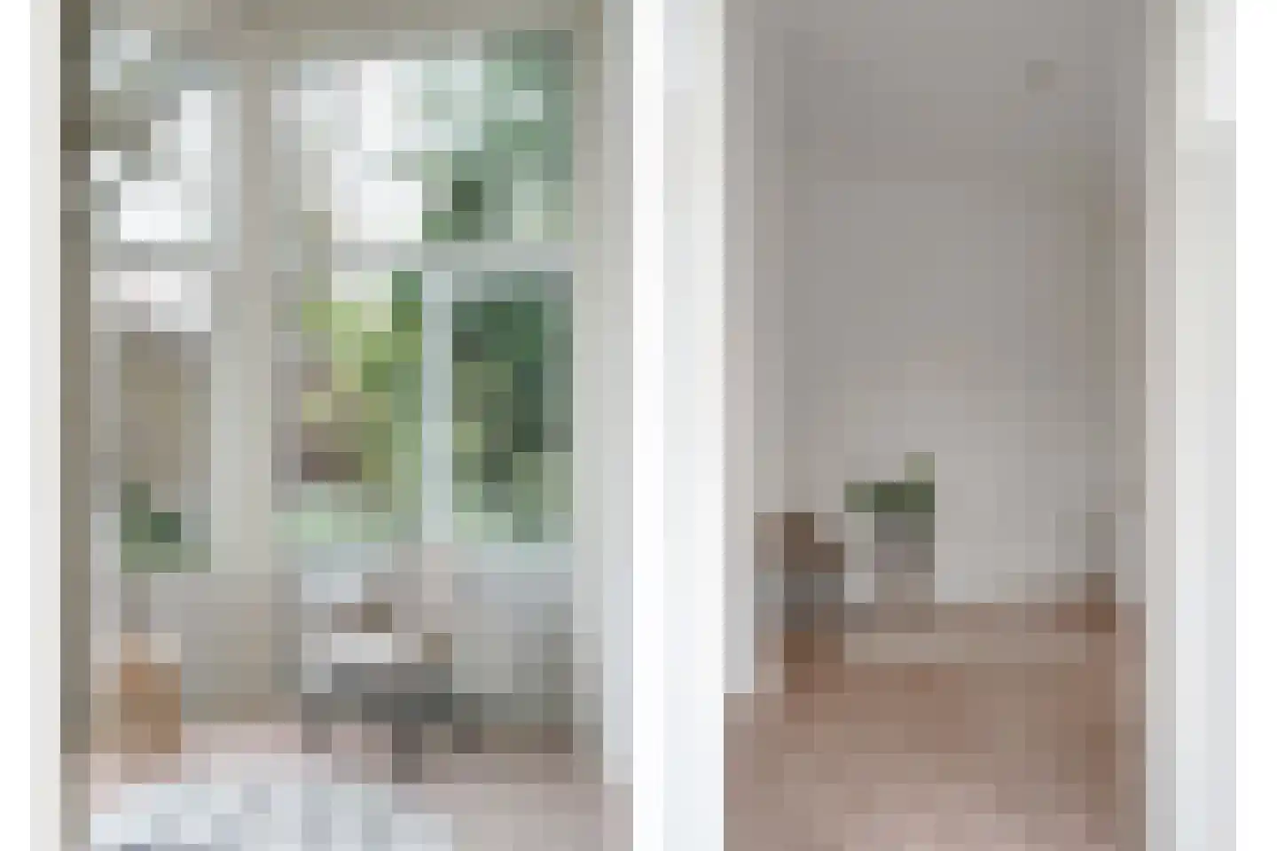 Anna Paulownastraat 68 A Den Haag thumbnail 16
