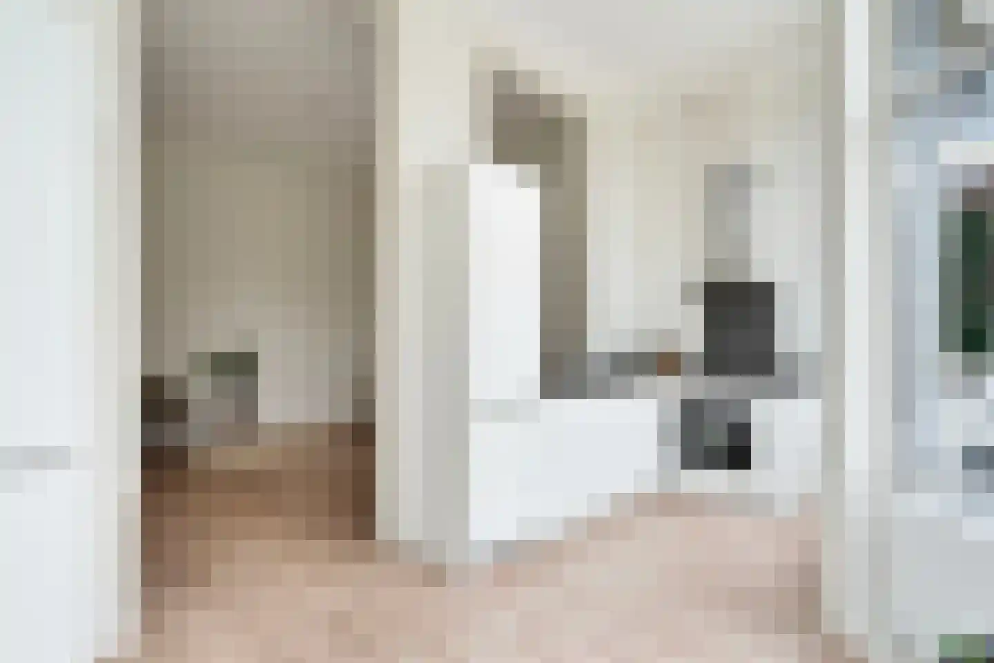 Anna Paulownastraat 68 A Den Haag thumbnail 17