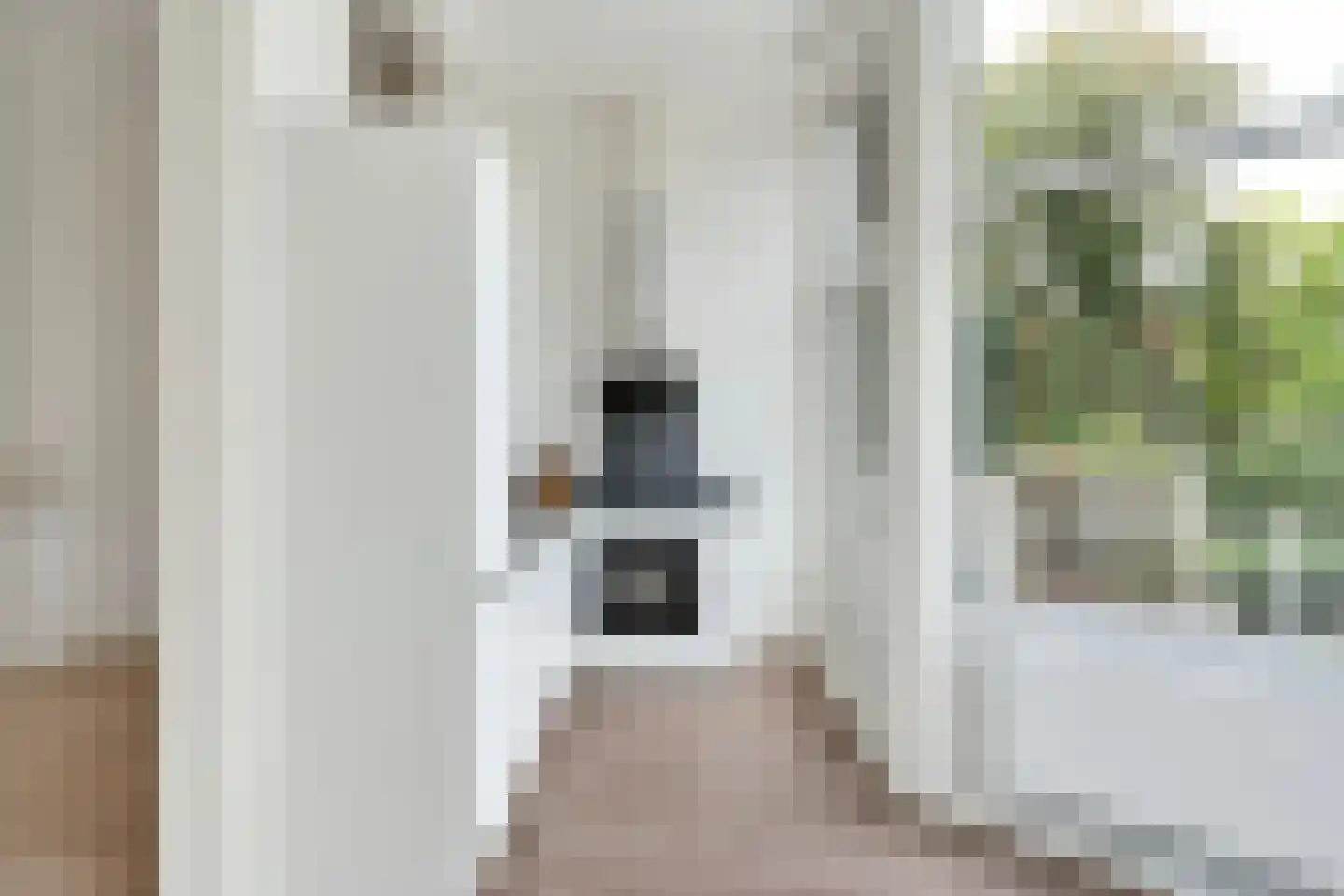 Anna Paulownastraat 68 A Den Haag thumbnail 18