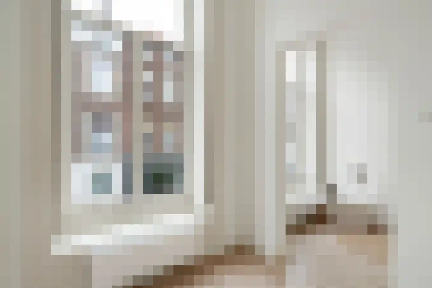 Anna Paulownastraat 68 A Den Haag thumbnail 26