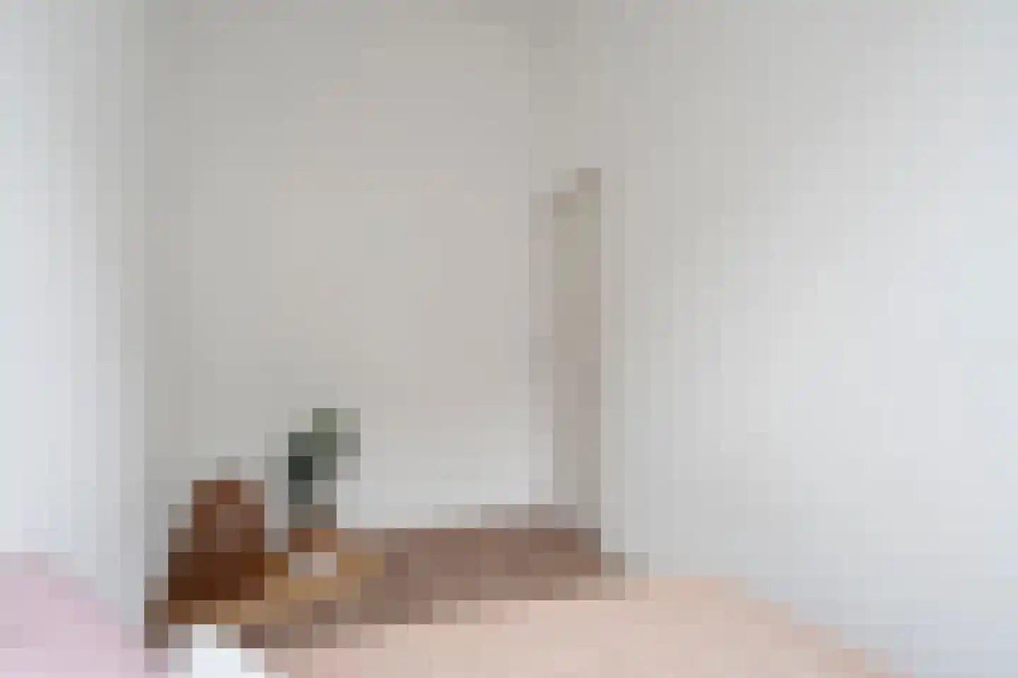 Anna Paulownastraat 68 A Den Haag thumbnail 27