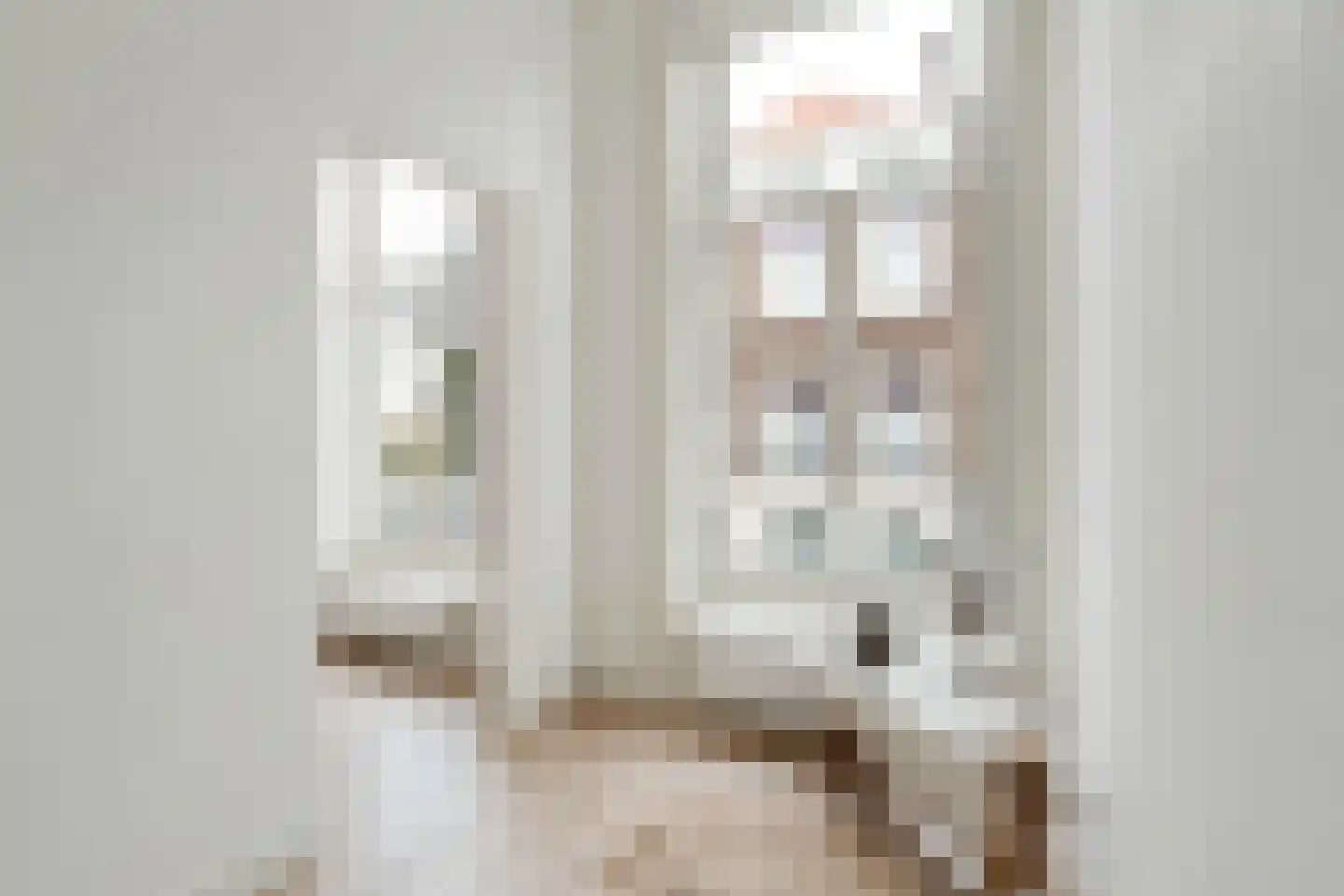 Anna Paulownastraat 68 A Den Haag thumbnail 28