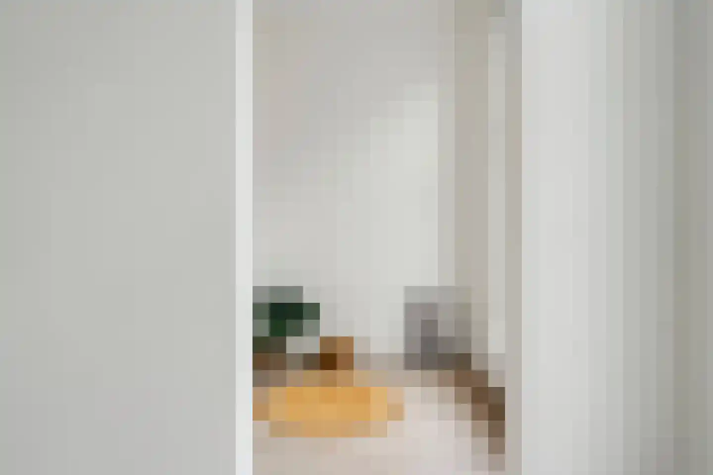 Anna Paulownastraat 68 A Den Haag thumbnail 32