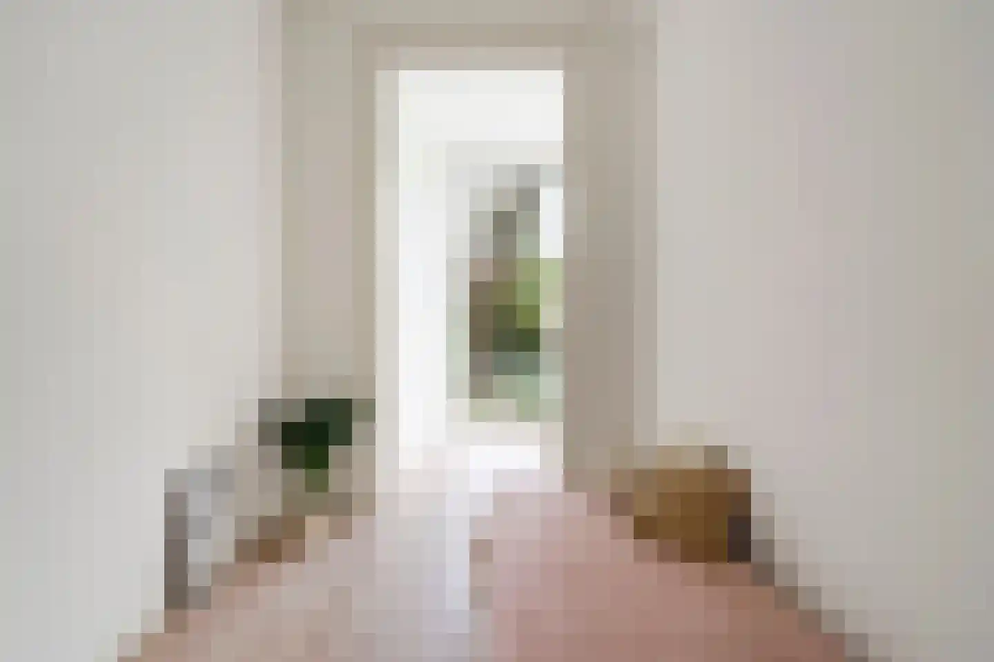 Anna Paulownastraat 68 A Den Haag thumbnail 33