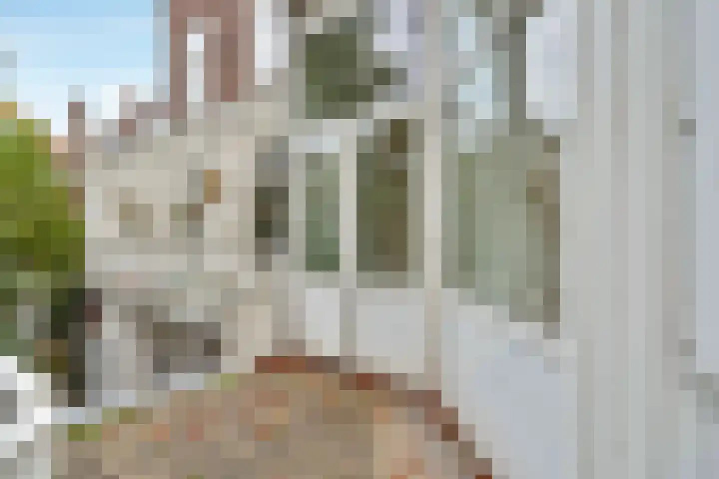 Anna Paulownastraat 68 A Den Haag thumbnail 36