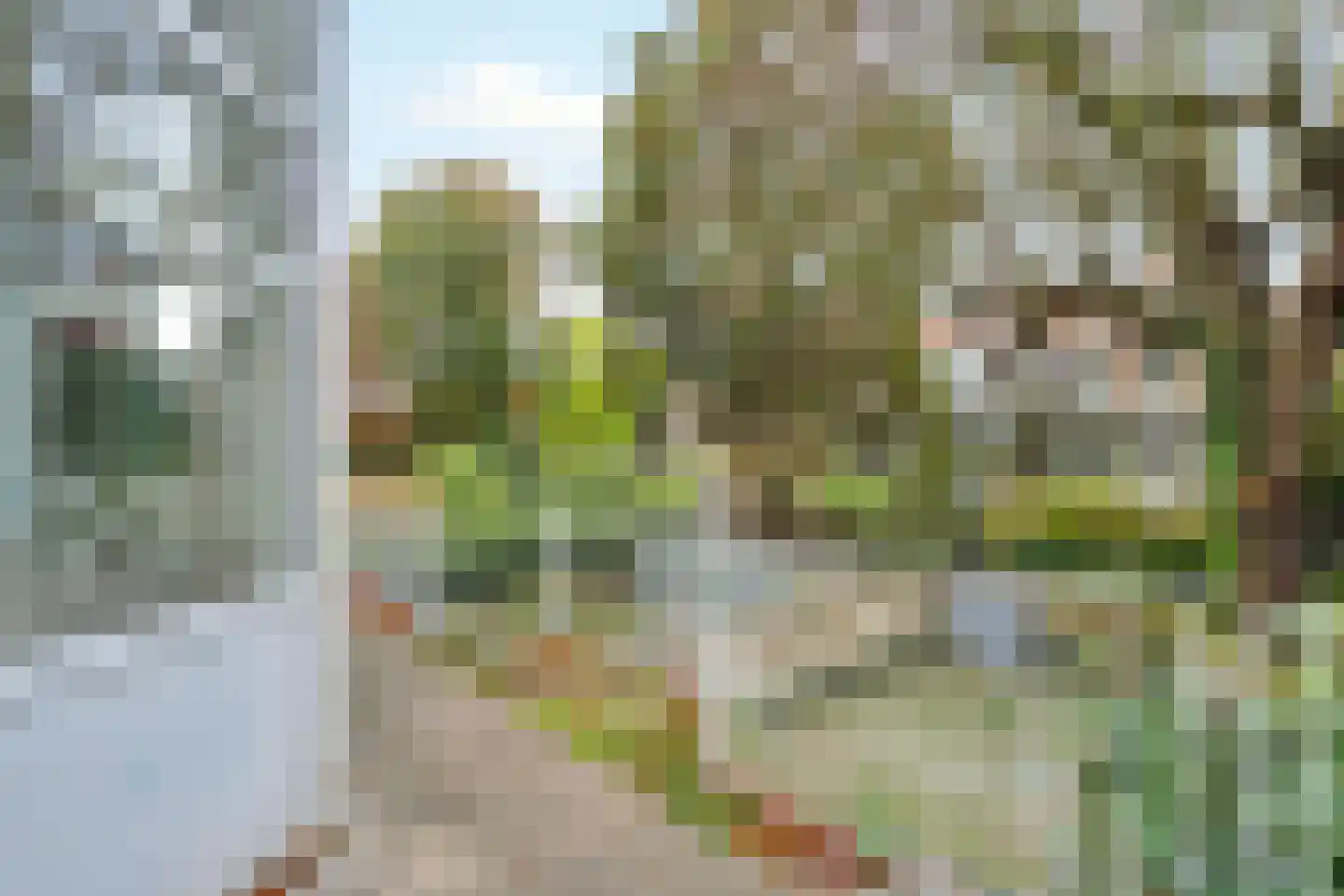 Anna Paulownastraat 68 A Den Haag thumbnail 37