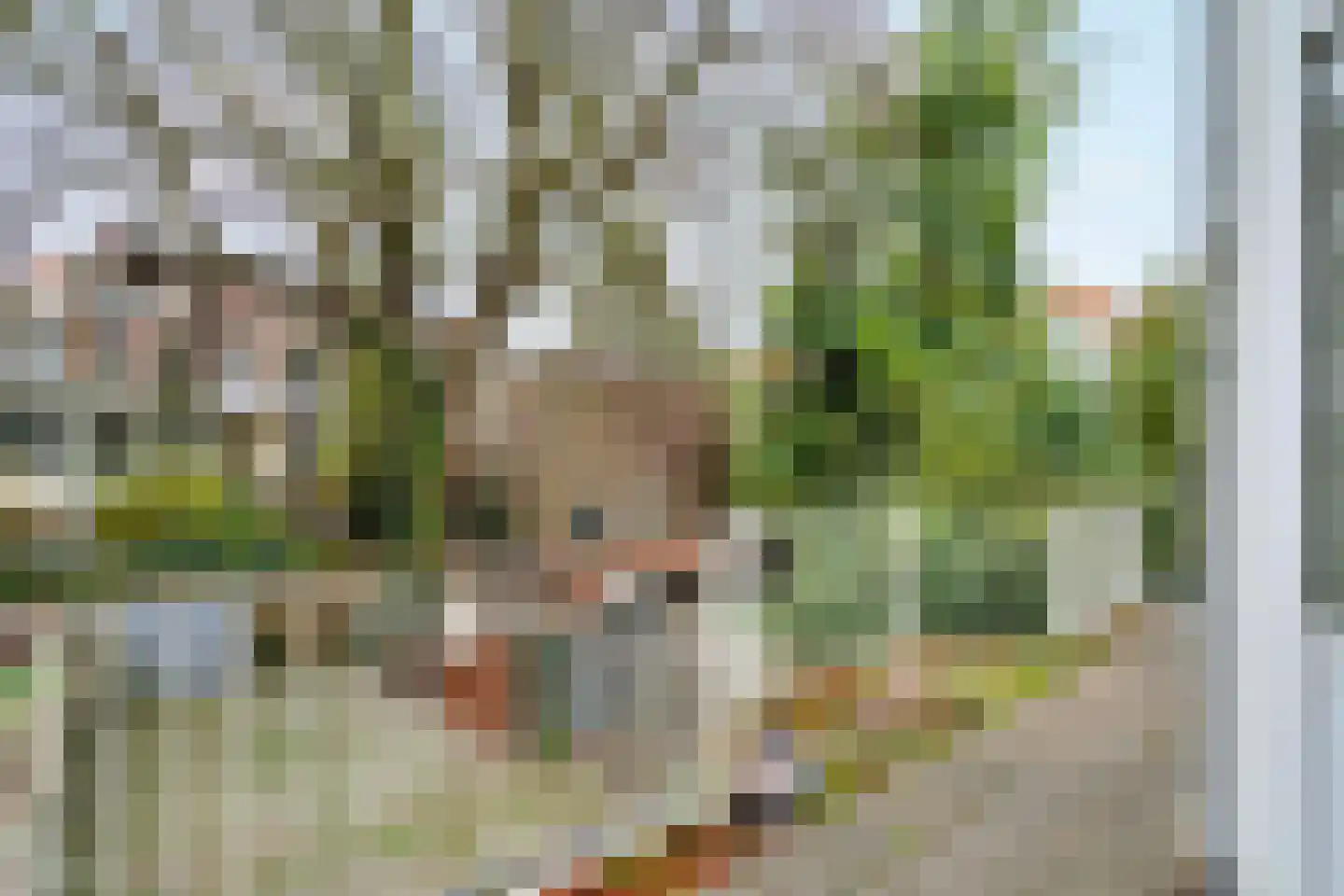 Anna Paulownastraat 68 A Den Haag thumbnail 38