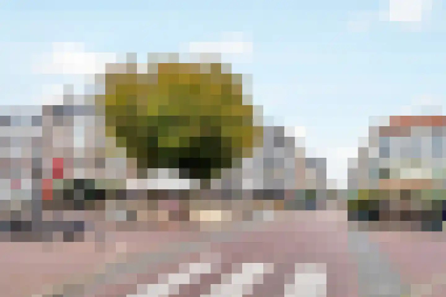 Anna Paulownastraat 68 A Den Haag thumbnail 43