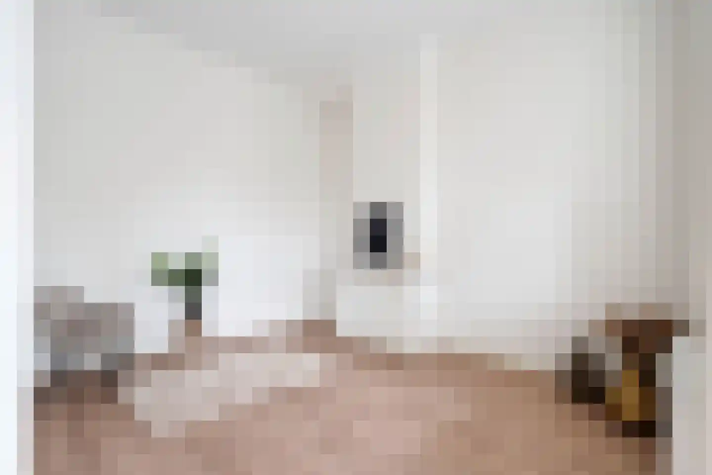 Anna Paulownastraat 68 A Den Haag thumbnail 5