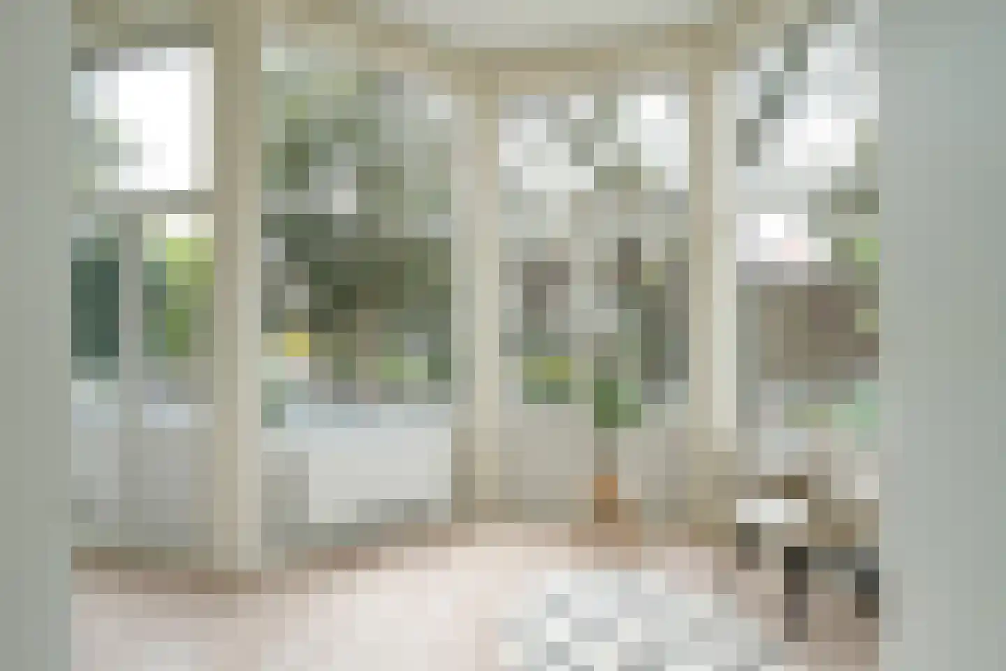 Anna Paulownastraat 68 A Den Haag thumbnail 6