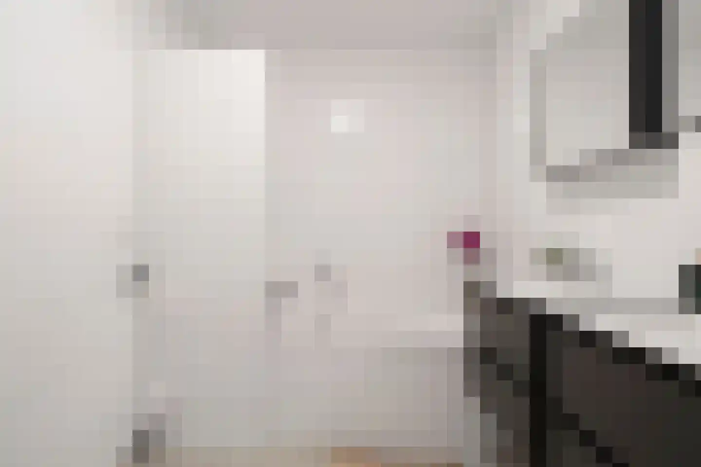 Anna Paulownastraat 68 A Den Haag thumbnail 8