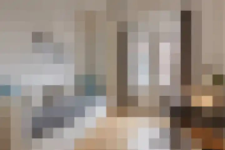 Anna Paulownastraat 74 B Den Haag thumbnail 13