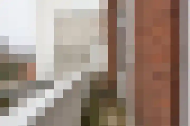 Anna Paulownastraat 74 B Den Haag thumbnail 20