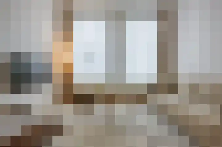 Anna Paulownastraat 74 B Den Haag thumbnail 30