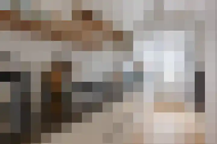 Anna Paulownastraat 74 B Den Haag thumbnail 6