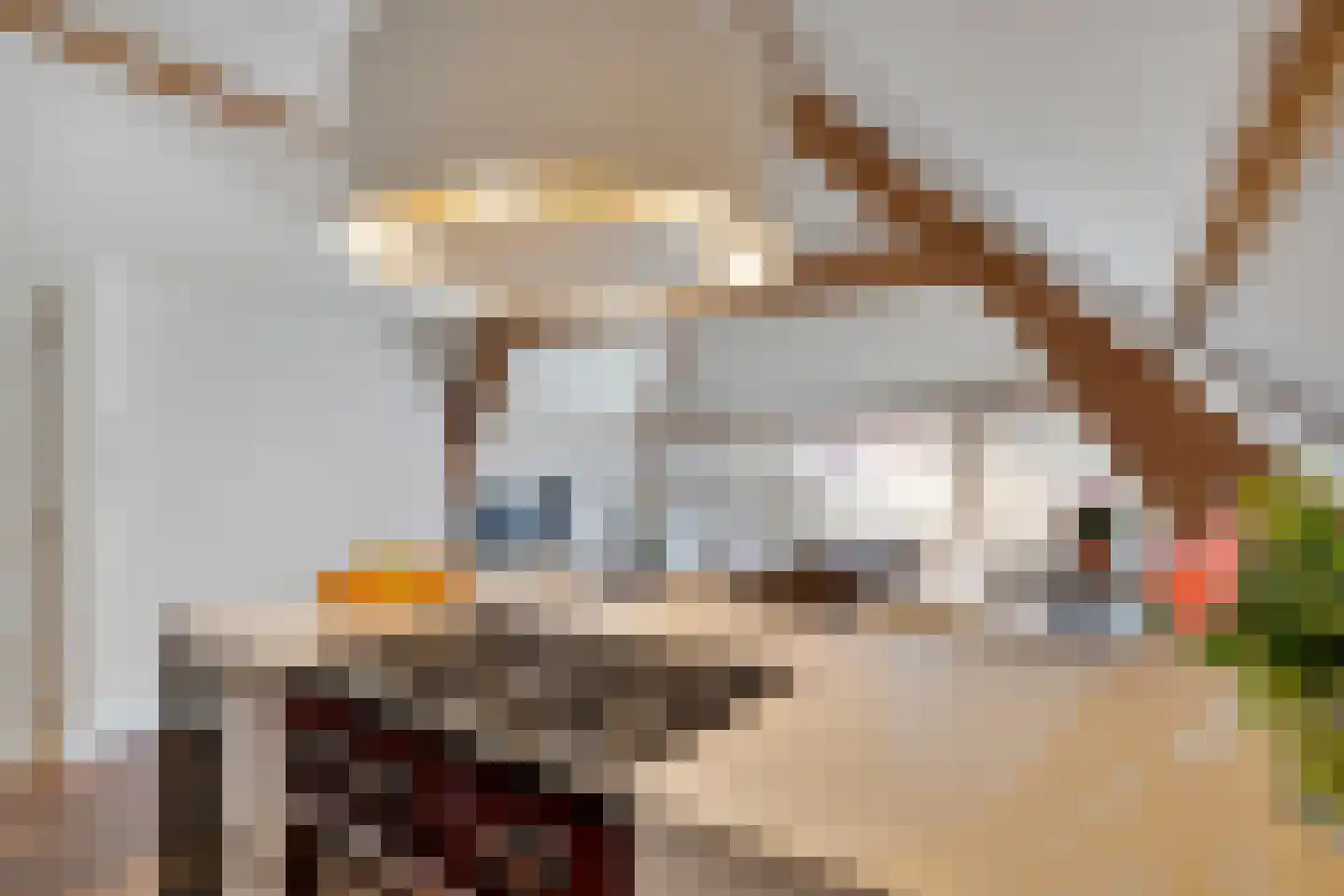 Anna Paulownastraat 81 B Den Haag thumbnail 16
