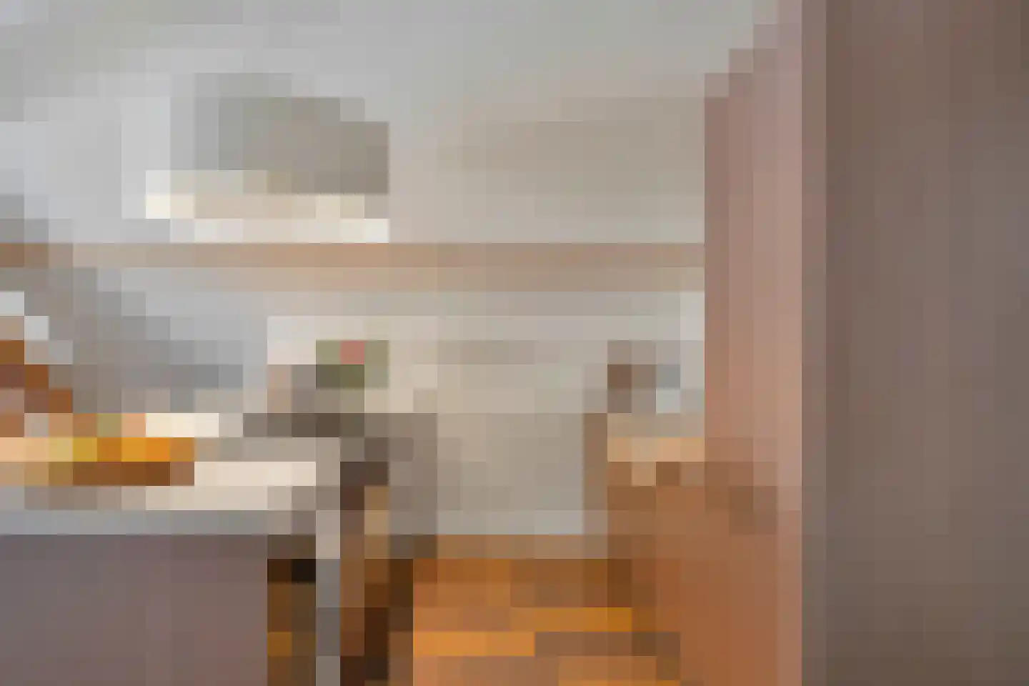 Anna Paulownastraat 81 B Den Haag thumbnail 17