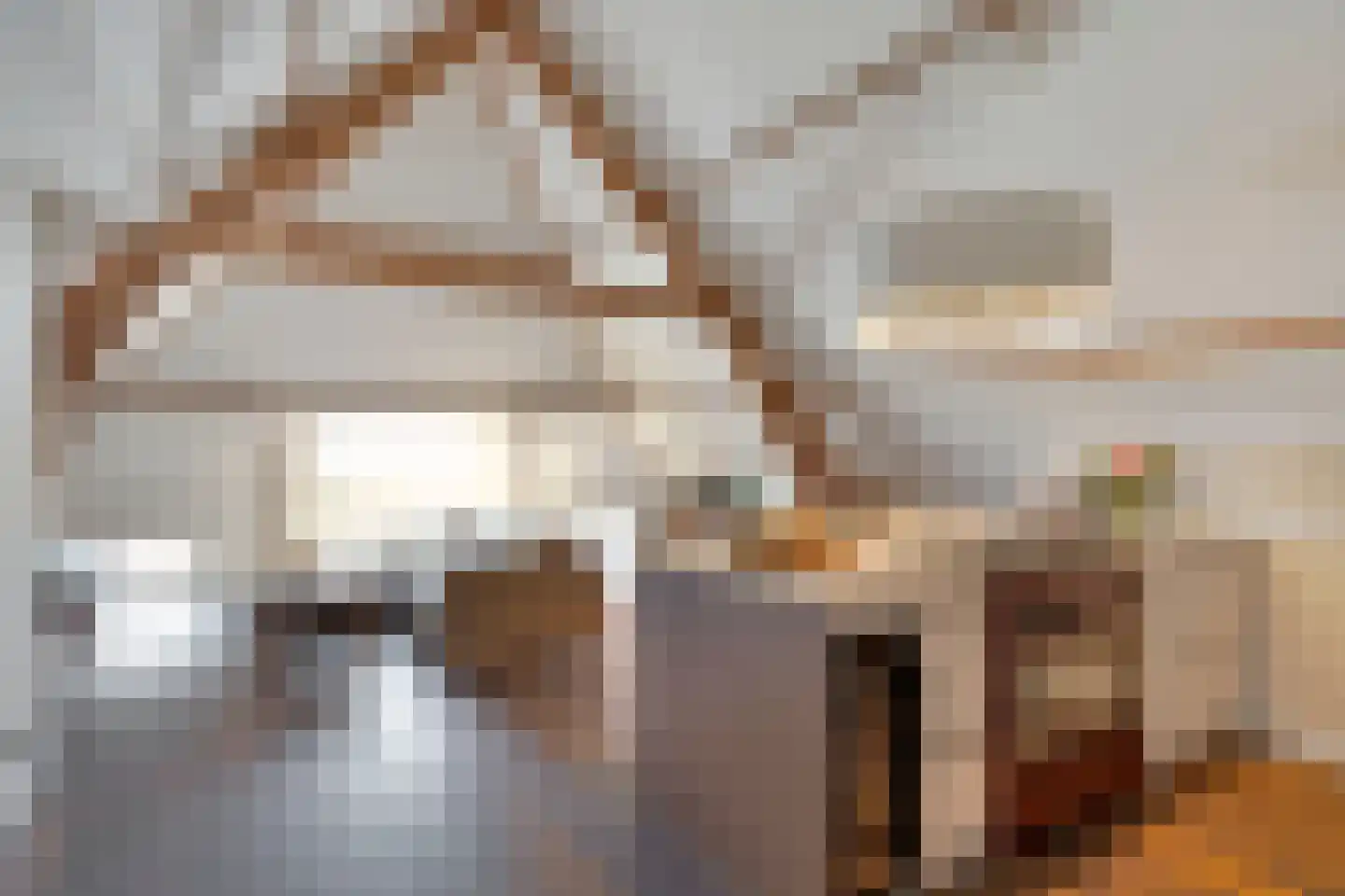 Anna Paulownastraat 81 B Den Haag thumbnail 18