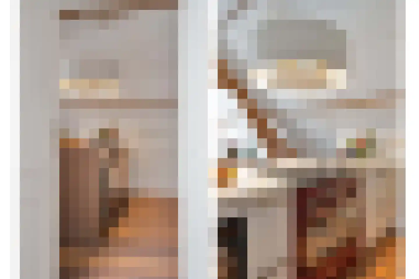Anna Paulownastraat 81 B Den Haag thumbnail 19