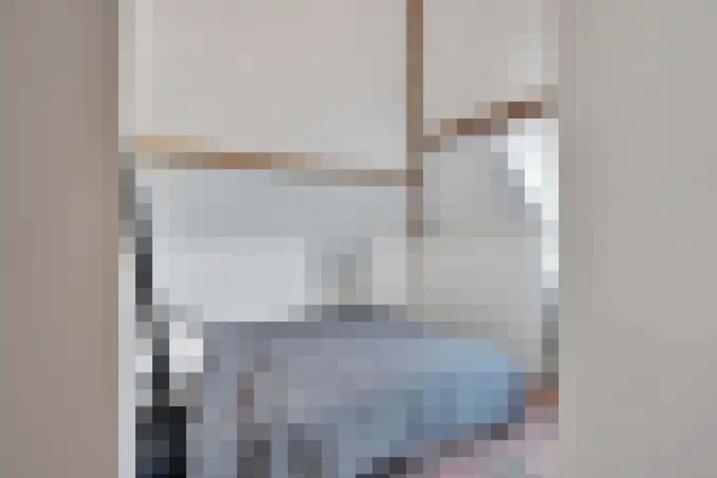 Anna Paulownastraat 81 B Den Haag thumbnail 21