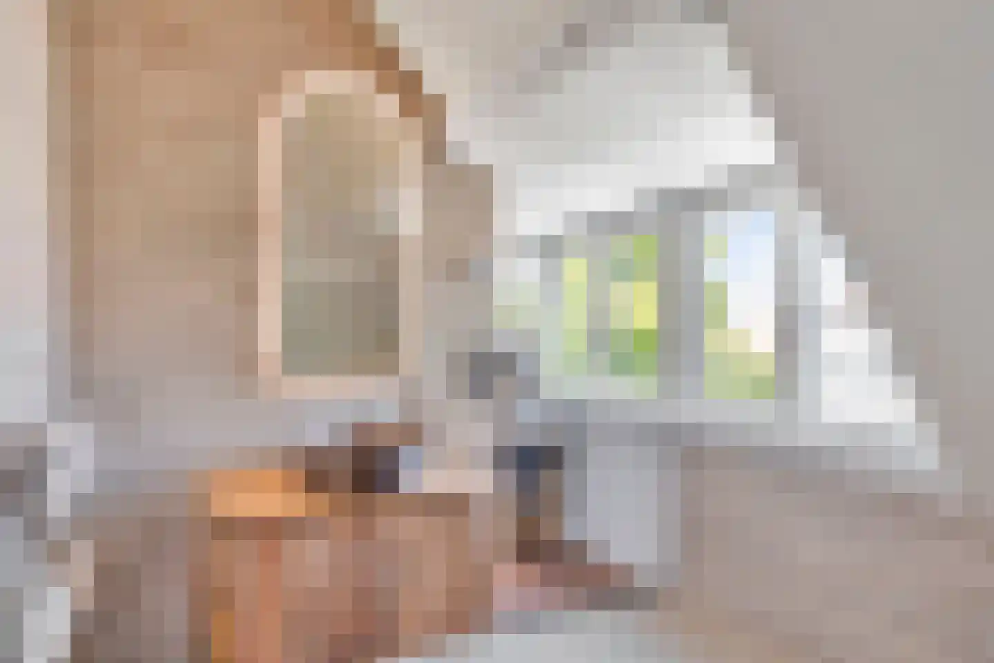 Anna Paulownastraat 81 B Den Haag thumbnail 26
