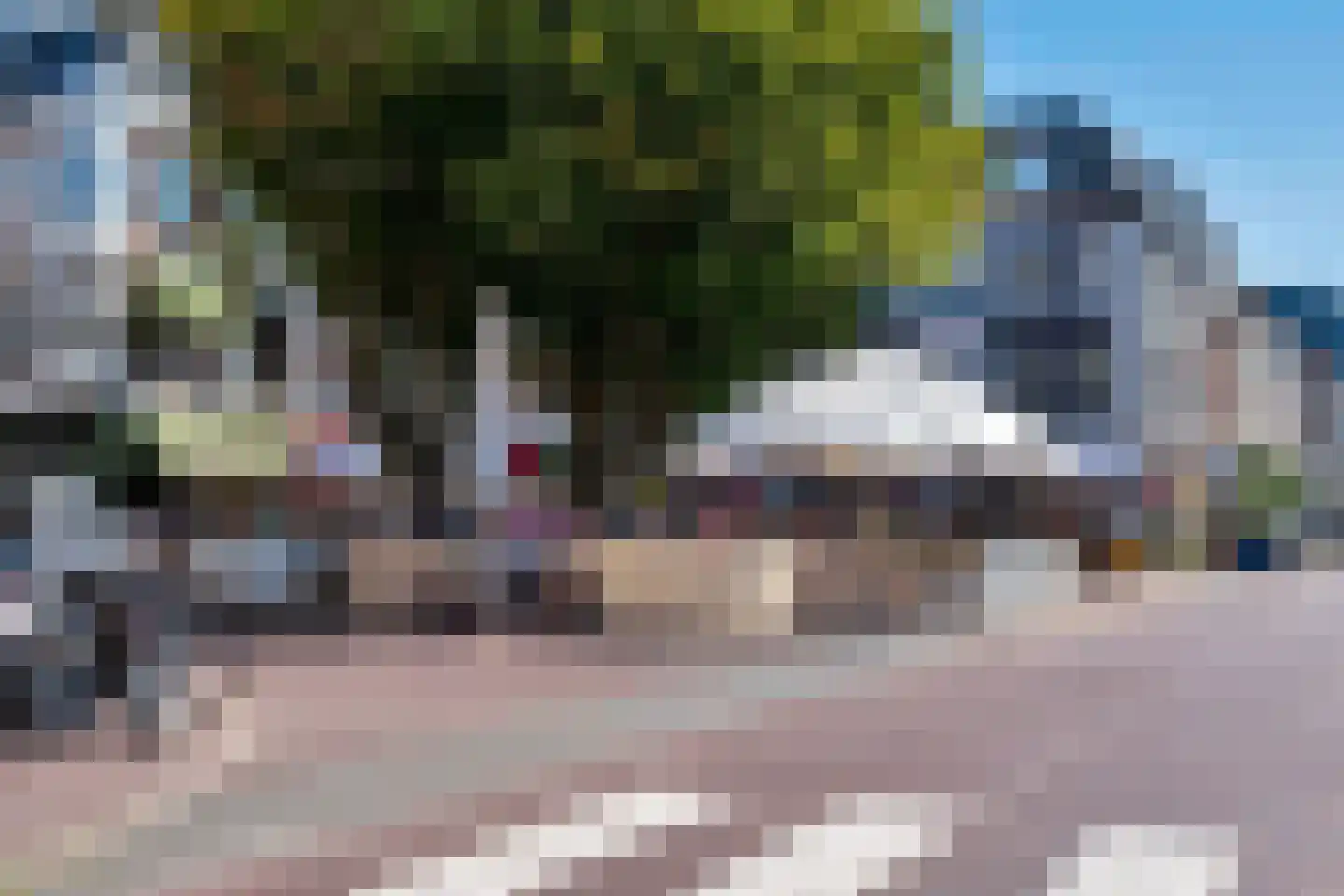 Anna Paulownastraat 81 B Den Haag thumbnail 33