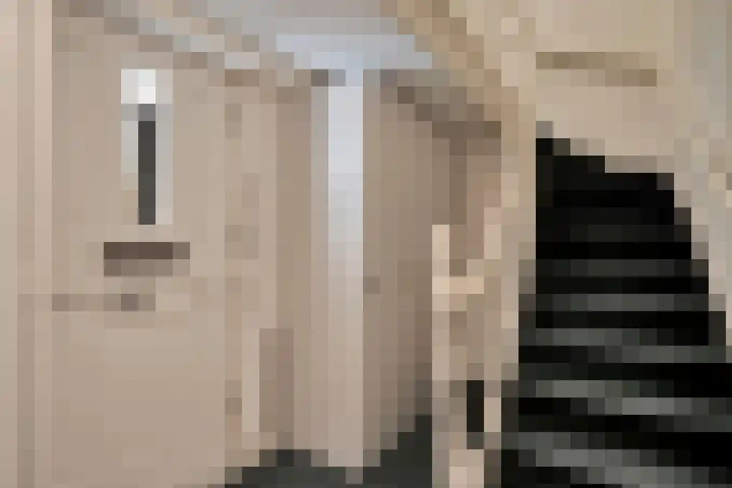 Anna Paulownastraat 81 B Den Haag thumbnail 4