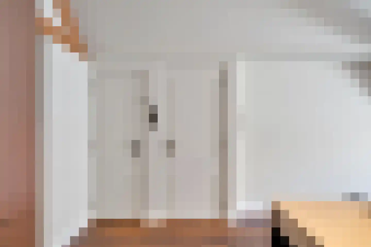 Anna Paulownastraat 81 B Den Haag thumbnail 5