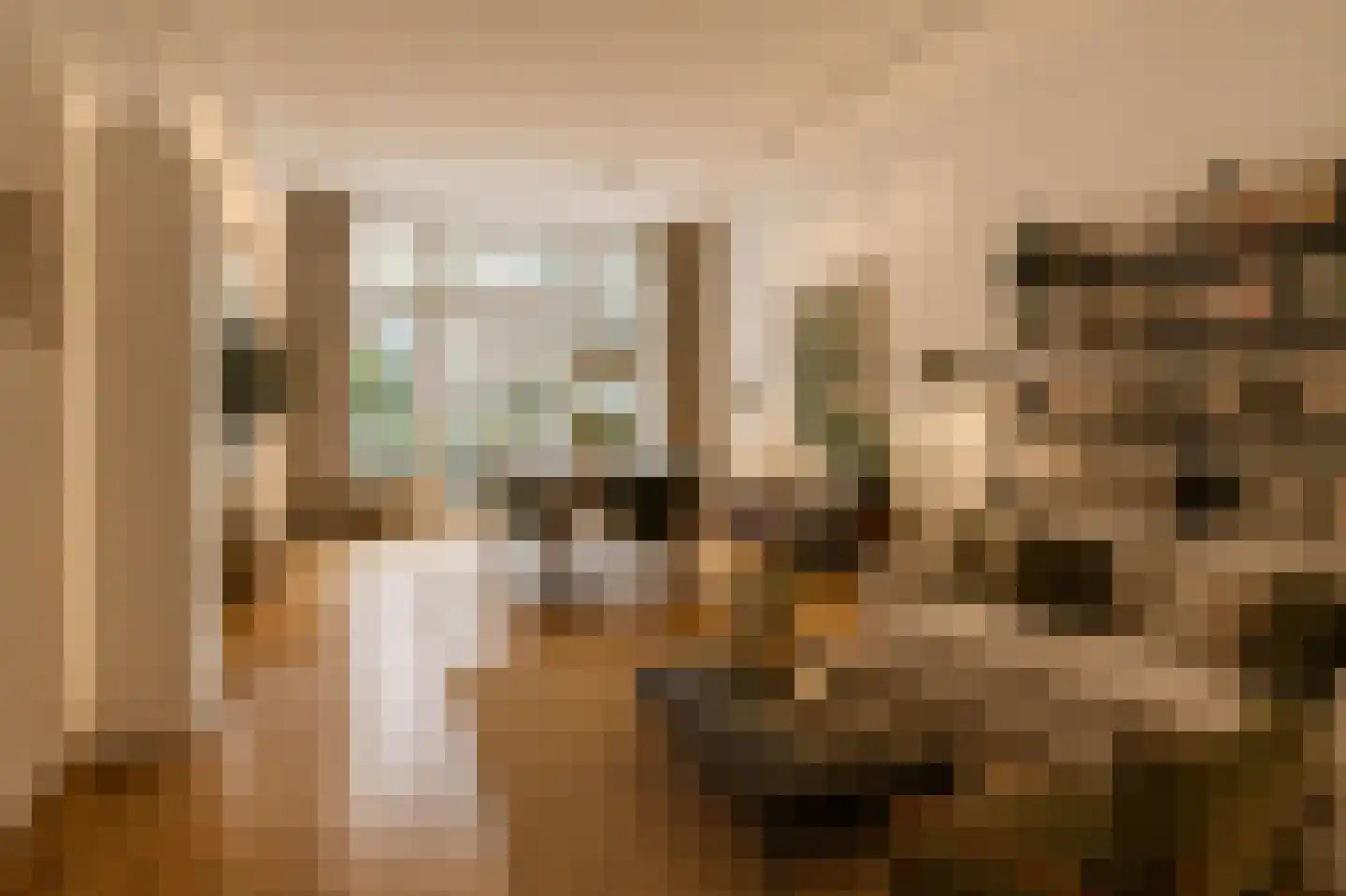 Anna Paulownastraat 89 Den Haag thumbnail 11